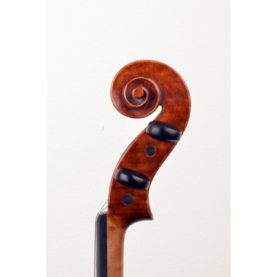 VIOLIN CREMONA 4/4 SERIE 500E