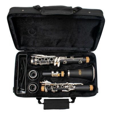 CLARINETE Bb DE ABS